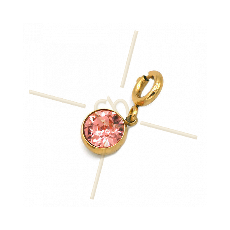 Charms Stainless Steel with clasp and Swarovski Strass Pink