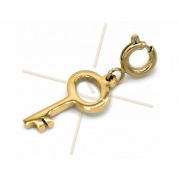 Charms edelstaal Gold Plated Sleutel met slotje