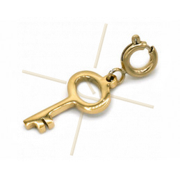 Charms Stainless Steel Gold Plated Key with clasp