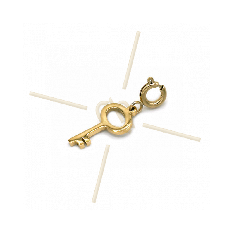 Charms edelstaal Gold Plated Sleutel met slotje