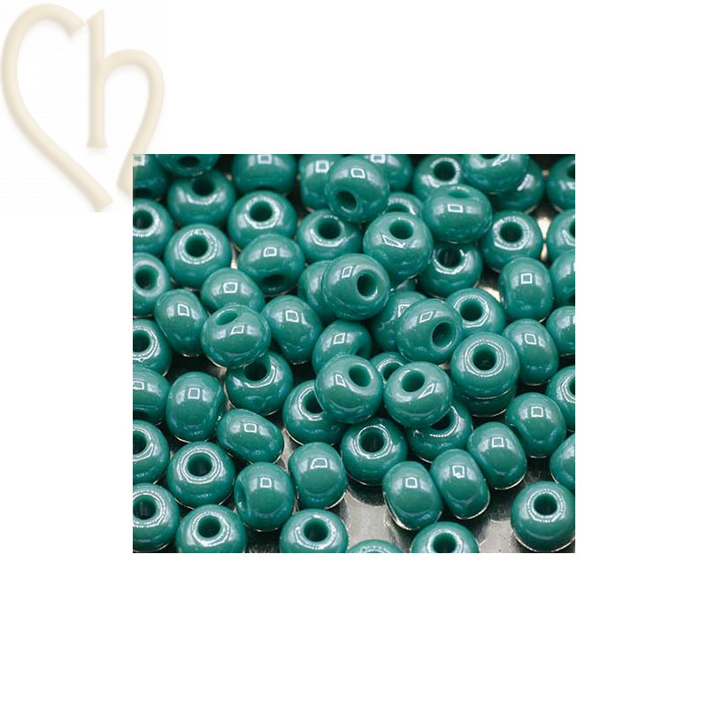 Seedbeads 4/0 Turquoise Opaque