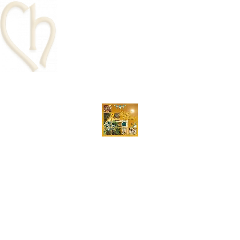 Charl'stone 1 Engels