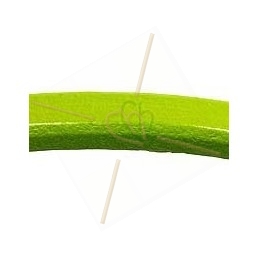 Regaliz cuir vert vif 6*10mm