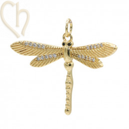 Charms Libelle Gold Plated...