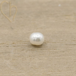 Nacré perle ovale 6*5mm x 2