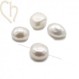 Nacré perle ovale 12*10mm