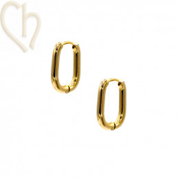 Hoops Earrings stainless...