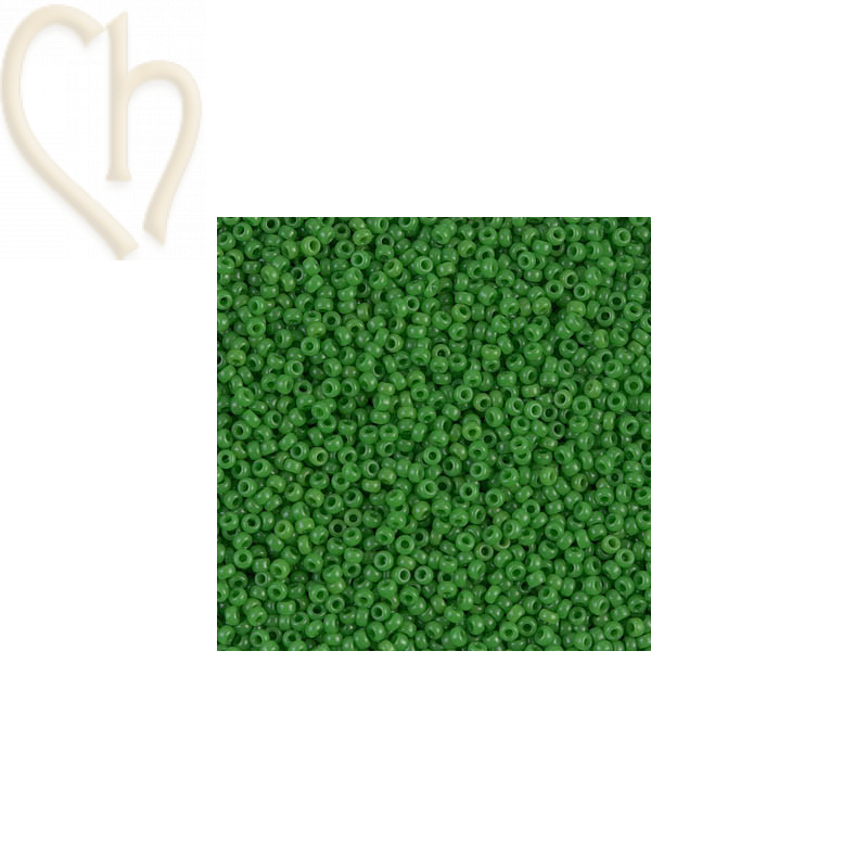 Miyuki Rocailles 15/0  - Hoogwaardige Japanse Kralen voor Sieraden