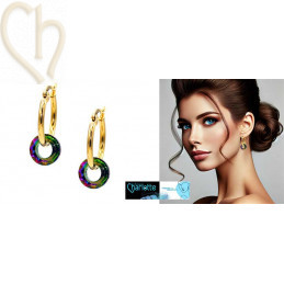 Oorbellen rond 20mm Gold...