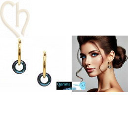 Earhoops round 20mm Gold...