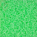 Miyuki Delica Luminous Mint...