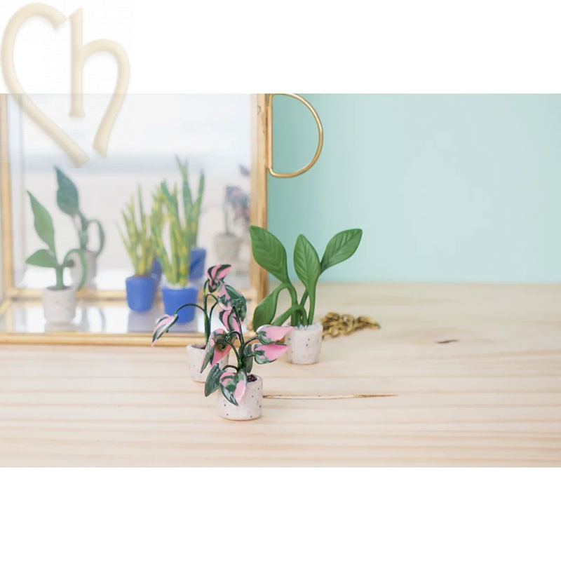 Cernit Starter Mini Kit Plantes – kit créatif en pâte polymère