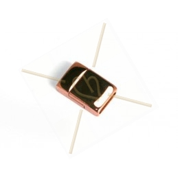 magneetslot staal voor 10mm plat rose gold