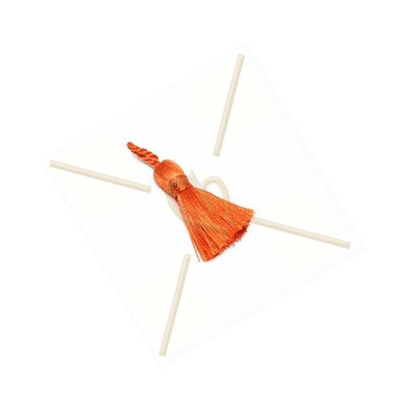 Tassel Pampille 25mm orange Tassel Pampille 25mm orange