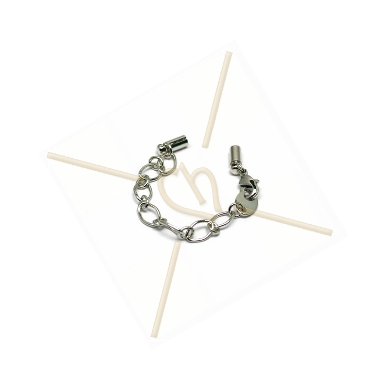 oval chain with carabiner + 2 bits int. 2.5mm oval chain with carabiner + 2 bits int. 2.5mm