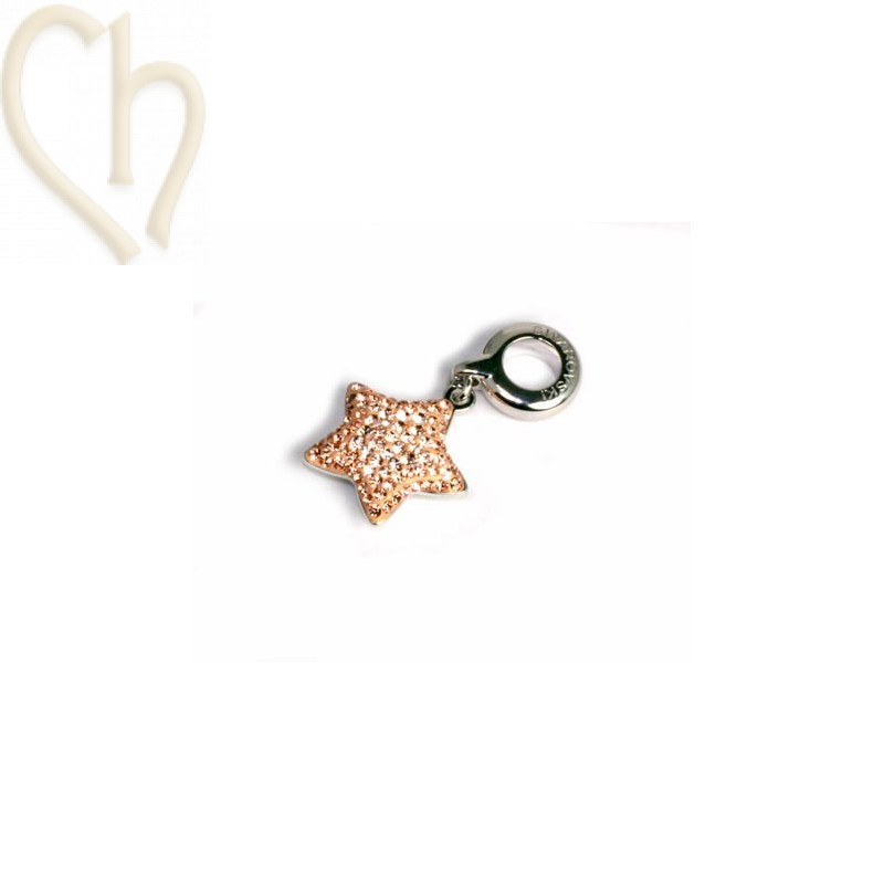 Swarovski Elements hanger 14mm ster Silk