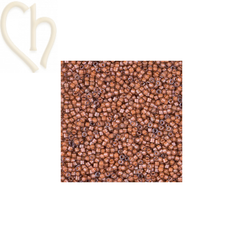 Delica 11/0 5gr. Luminous Guava