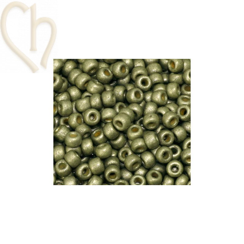 Matubo Rocaille 8/0 zeist galvanised duracoat