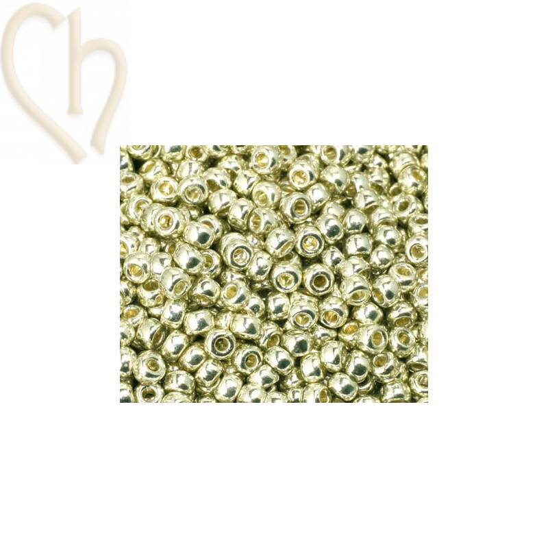 Rocaille 8/0 zilver galvanisé