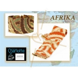 Kit bracelet Peyote afrika...