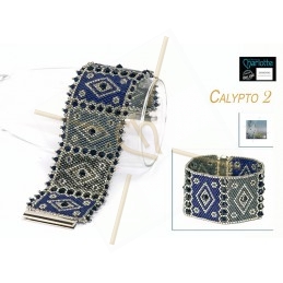kit bracelet Peyote Calypto...