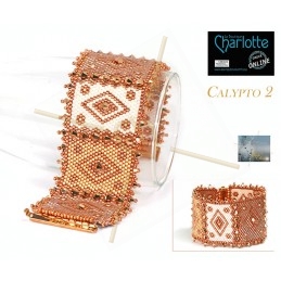 kit bracelet Peyote Calypto...