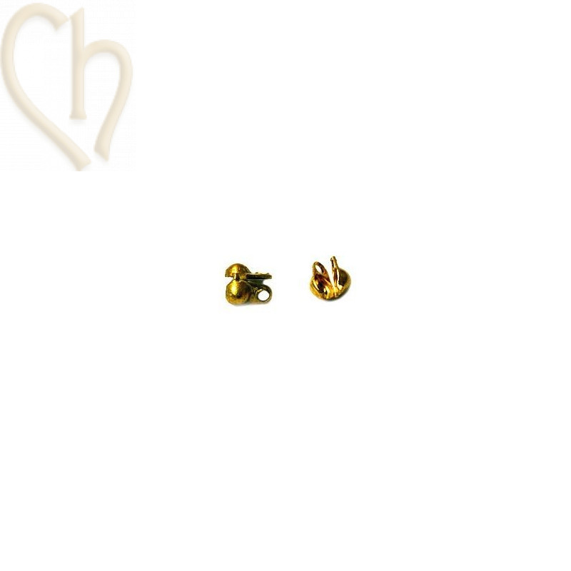 chaine claspholder small