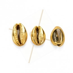 Coquillage Shell beads 20mm...