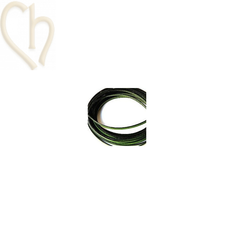 cuir plat verde