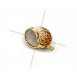 Coquillage Shell pendentif...