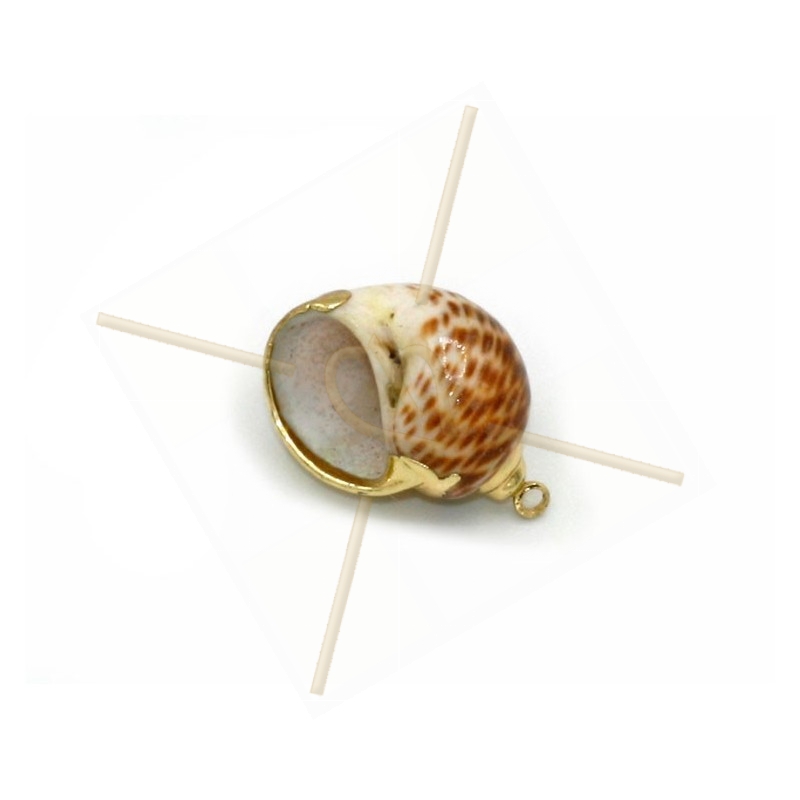 Coquillage Shell pendentif beads 25mm Gold Plated